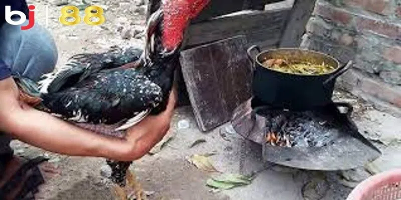 Quy trình om bóp gà đúng cách đạt hiệu quả cao